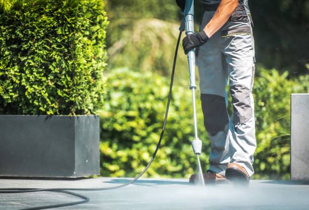 Best Gutter Cleaning  in Belle Plaine, KS